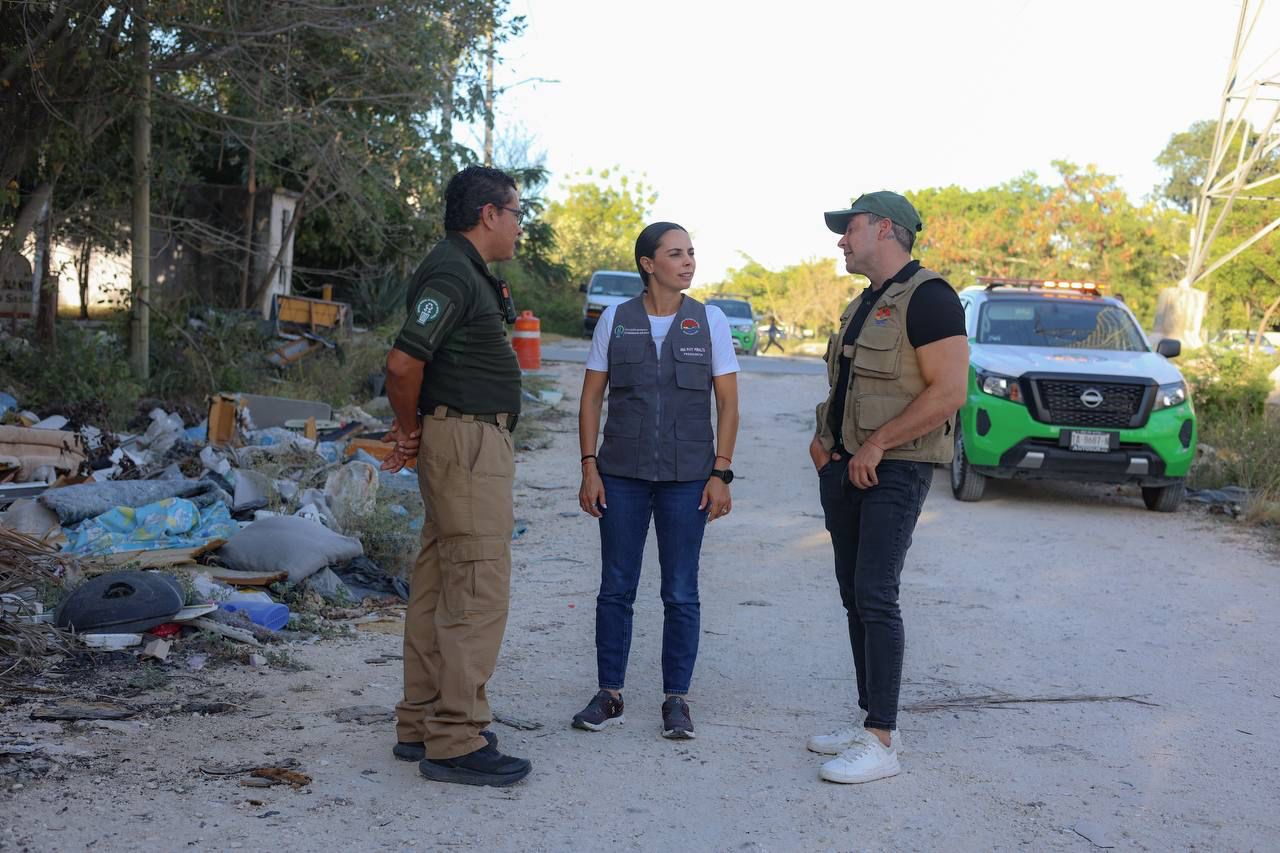 uploads/6/32/01 (1701).Jpeg